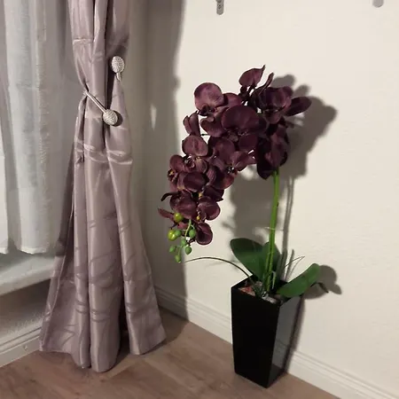 Lange Str. 15 - Ferienwohnung Prerow Buitenkant foto